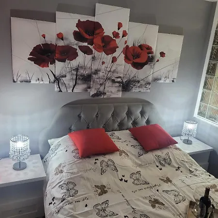 Apertment Wenus Apartamento Zabrze