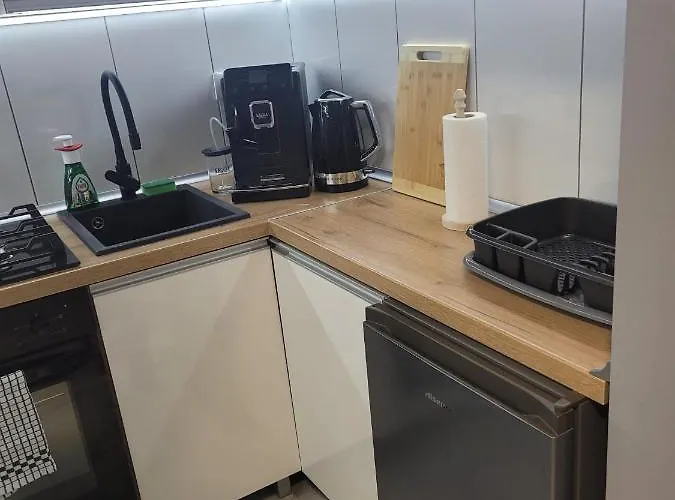 公寓 Apertment Wenus 扎布热